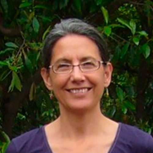 Debra Vidali Headshot
