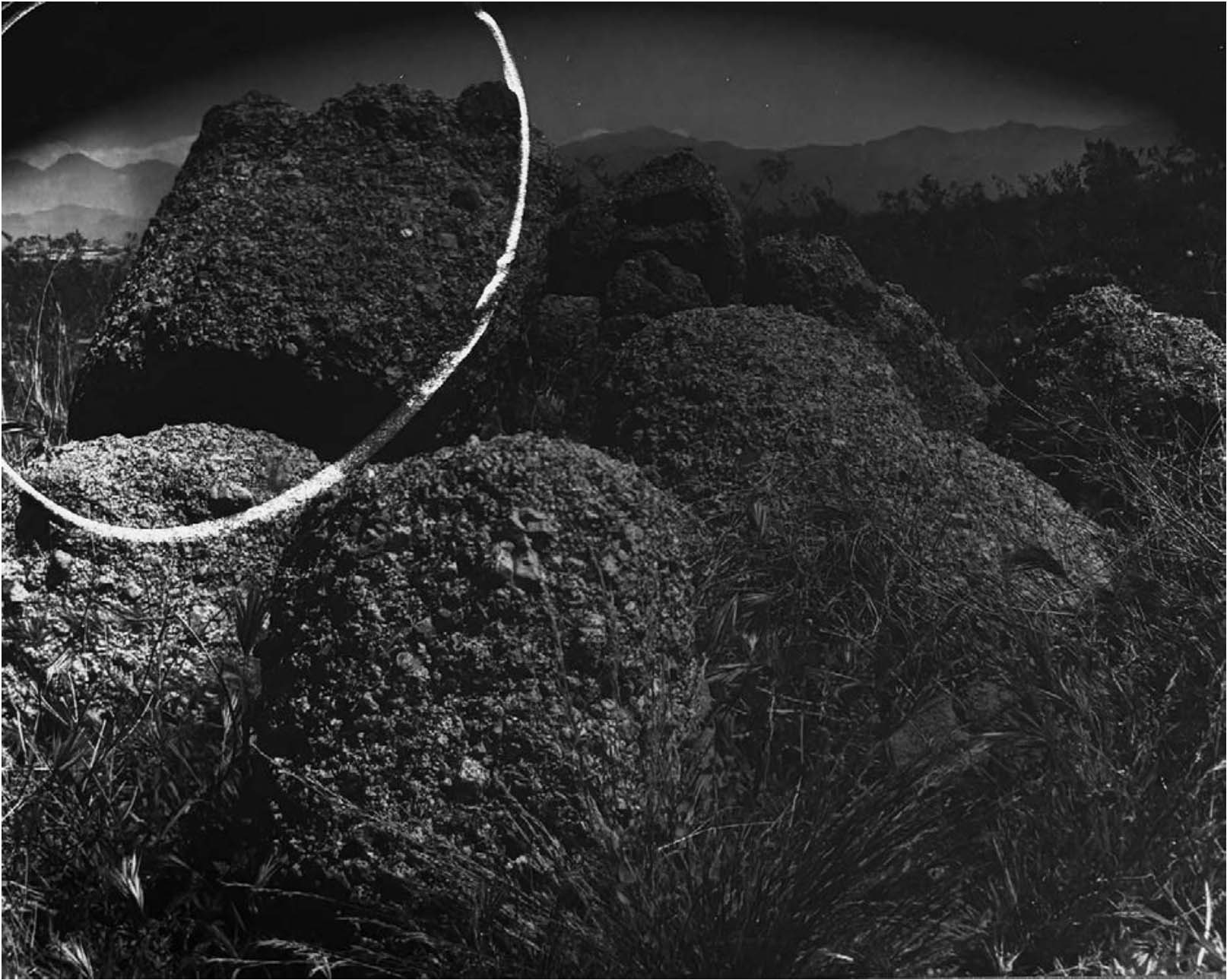 Photography Speaks Stephanie-Dowda-De-Mer